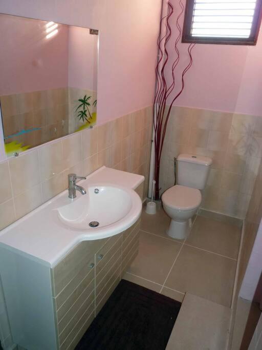 Logement Dans Un Lieu Calme Et Verdoyant A Proximite De Tout Avec Jacuzzi!!! Basse-Terre Zewnętrze zdjęcie